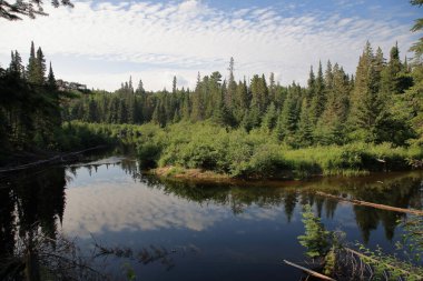 Kanada - Algonquin İl Parkı / Kanada - Algonquin İl Parkı /