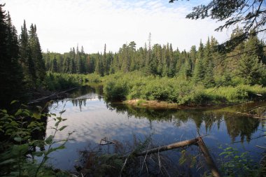 Kanada - Algonquin İl Parkı / Kanada - Algonquin İl Parkı /