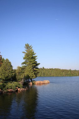 Kanada - Algonquin İl Parkı / Kanada - Algonquin İl Parkı /