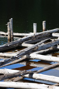 Verfallene Holzpier / Çürümüş kadın iskelesi /