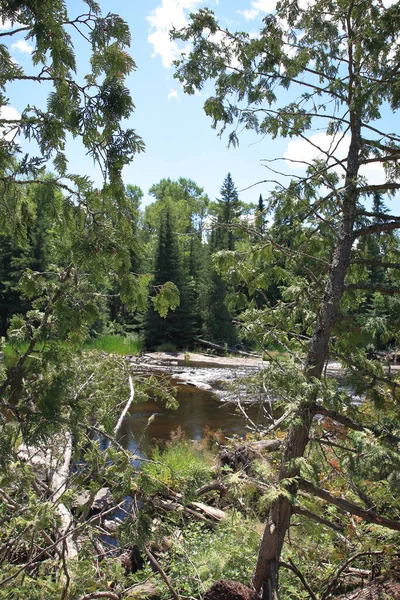 Chapleau Cadeia Lagos Mile Rapids Chapleau Cadeia Lagos Mile Rapids — Fotografia de Stock