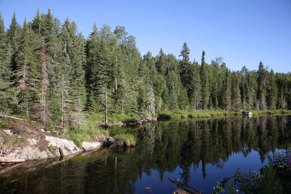 Chapleau Crown Game Preserve Chapleau Crown Game Preserve — Fotografia de Stock