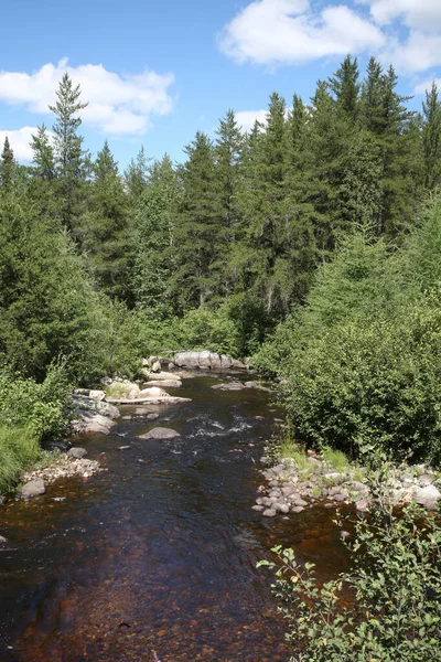 Chapleau Crown Game Preserve Chapleau Crown Game Preserve — Fotografia de Stock