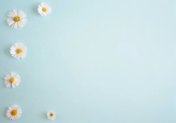 Fundo Verão Azul Claro Com Camomilas Espaço Cópia Para Texto — Fotografia de Stock