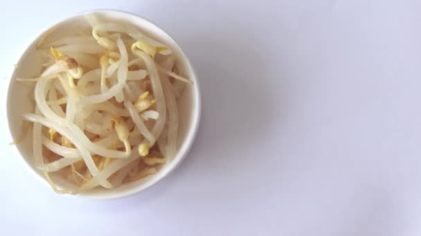 Mung Bean Sprouts Small Bowl White Background Top View — Video