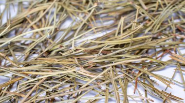 Beyaz arka plan üzerinde izole kurutulmuş köknar iğneleri. Noel'den sonra.