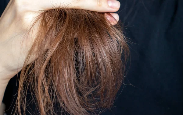 Fim Mulheres Problemas Cuidado Cabelo Conceito Saudável Mulher Mão Segurando — Fotografia de Stock