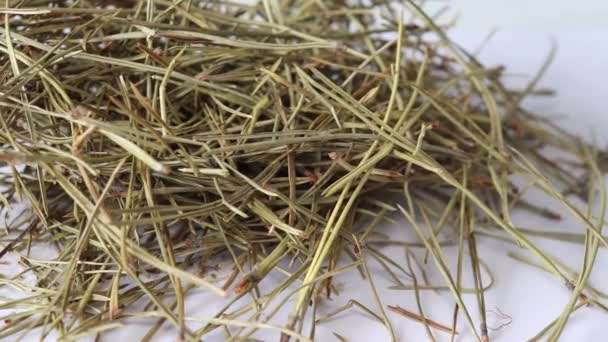 白い背景に松の針の山 健康的なお茶を作るために針葉樹の乾燥針 — ストック動画