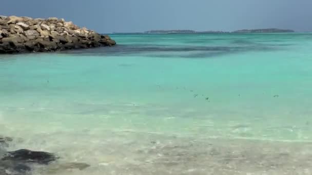 Utsikt Från Stranden Till Indiska Oceanen Maldiverna Små Vågor Det — Stockvideo