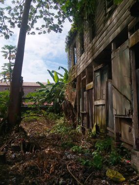 Doğa tarafından geri kazanılmış terk edilmiş ürkütücü bir bina.