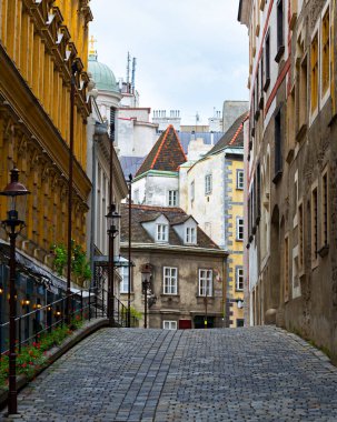 Nice cozy street in the old town of Vienna. Traditional empty brick street in Austria. Landmark of Austria.