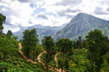 Hindistan 'ın doğası. Dağların bulutların arasındaki uzak manzarası.