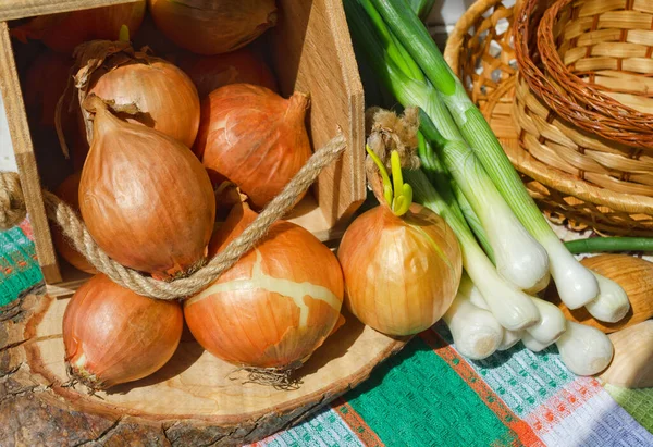 Oignons Dorés Dans Une Boîte Bois Oignons Verts Sur Une — Photo