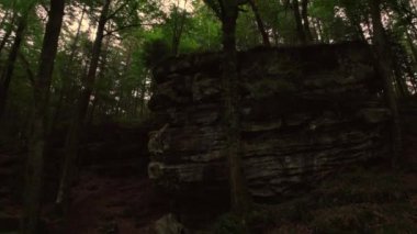 Drone ascends slowly along the steep rock formation beautiful carved by erosion by wind and water. Fresh green deciduos trees, cliff covered with moss and ivy. In a Luxembourg forest, crane shot, Aerial View 