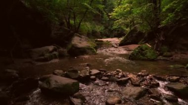 Manzaralı, yavaş akan nehir, yosunlarla kaplı kayalar, gizemli bir ormanda taze yeşil yapraklar, yaz mevsiminde Mullerthal Lüksemburg, Schiessentumpel şelalesi