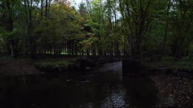 Sonbahar ormanındaki doğa nehri, dağdan akan tatlı su kayaların üzerinden ve eski taş köprünün altından. Renkli sonbahar ormanı ağaçları ve yaprakları. Belçika Ardennes 'in alçak açılı görüntüsü