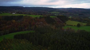Parlak yeşil tarlaların havadan görünüşü, kırsal bir çiftliği olan ineklerle otlaklar, arka planda bulutlu gökyüzü olan Belçika Ardennes 'de sonbahar renklerinde ormanlar.