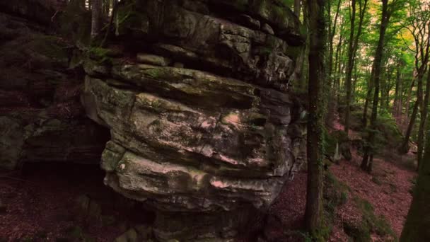 Aerial Dolly Pan Shot Close Steep Mountain Cliff Tree Rock — Αρχείο Βίντεο