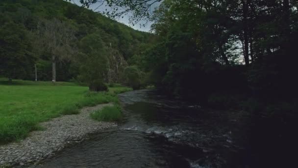 Drone Flies Low Peaceful Calm River Low Trees Dusk Meadows — Stock video