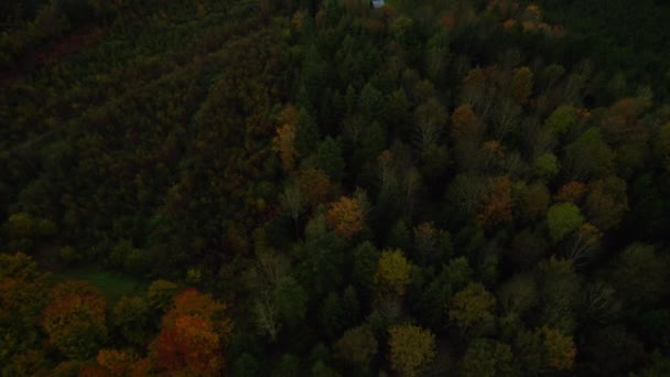 View Beautiful Colorful Foliage Autumn Forest Revealing Lonely Woodland Cottage — Videoclip de stoc