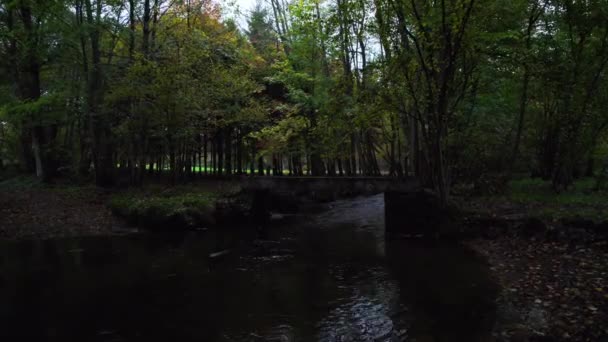 Natur Flod Efterårsskov Frisk Vand Flyder Fra Bjerget Klipperne Den – Stock-video