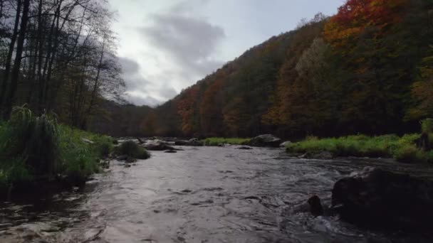 Krásná Klidná Řeka Teče Podél Krásných Barevných Podzimních Stromů Řeka — Stock video