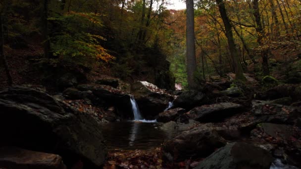 Scenic Kabbelende Beek Herfst Bomen Met Prachtige Herfstkleuren Cascade Chaudiere — Stockvideo