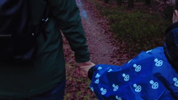 Felice Passeggiata Famiglia Nel Parco Madre Figlio Che Camminano Mano — Video Stock