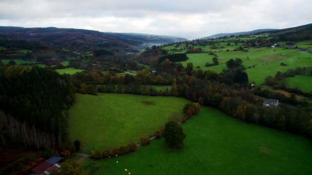 High Angle Aerial View Bright Green Fields Forests Autumn Colors — Stock Video