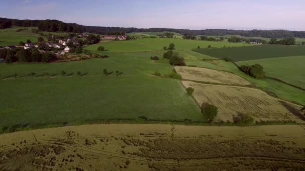Dutch Valley Landscape Rolling Hills Meadows Natural Fences Wooded Banks — Stock videók