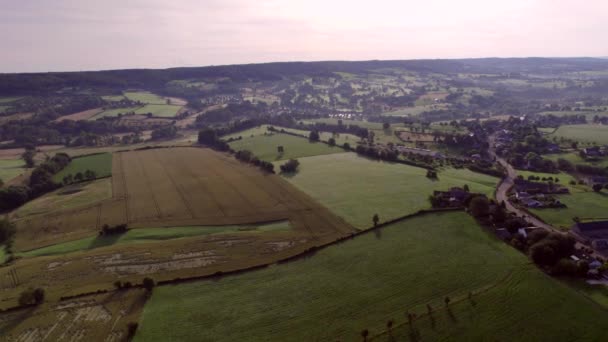 Dutch Valley Landscape Rolling Hills Meadows Natural Fences Wooded Banks — Αρχείο Βίντεο