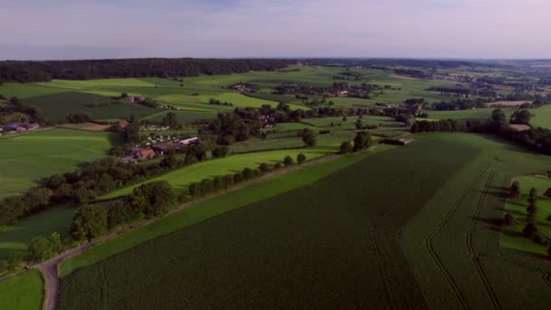 Dutch Valley Landscape Rolling Hills Farmlands Natural Fences Wooded Banks — Stockvideo