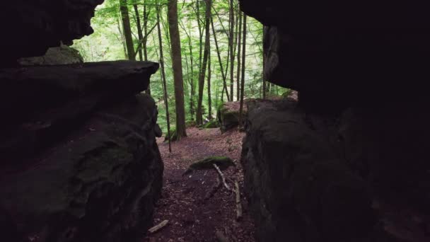 Caminhando Para Fora Caverna Revela Vale Com Árvores Rochas Cobertas — Vídeo de Stock