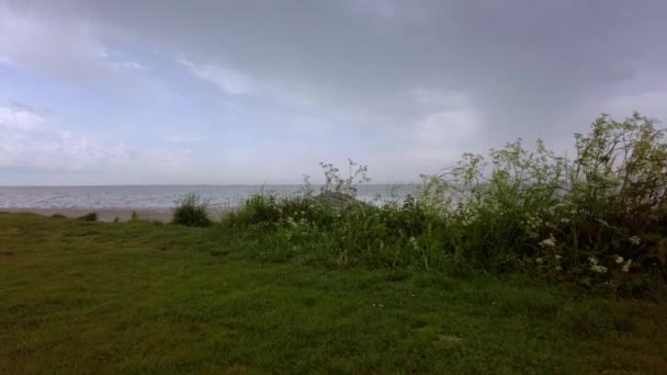 斑点のあるヘムロックの後ろから 防波堤と砂浜のある湖が見えます 岩の上では 鳥が獲物と一緒に飛んで行き 魚を待っているサギ 遠くに嵐の雲が近づいてくる — ストック動画