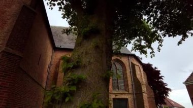 Hollanda 'nın Schellinkhout kentindeki küçük bir köyde daha az Gotik vitray pencereli, 14. yüzyıl manzaralı bir koridor boyunca alçak bir manzara.