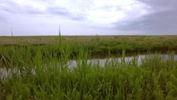 Wandelen Langs Landelijk Landschap Schilderachtig Uitzicht Het Natuurgebied Met Weiden — Stockvideo
