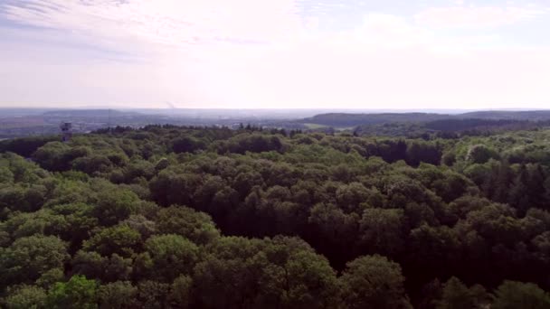 Widok Lotu Ptaka Krajobraz Doliny Holenderskiej Nisko Nad Wierzchołkami Drzew — Wideo stockowe