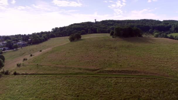 Luftaufnahme Grasweg Der Wiesenlandschaft Mit Sanften Hügeln Und Wiesen Südlimburger — Stockvideo