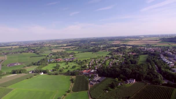 Widok Lotu Ptaka Dron Lecący Kierunku Winnicy Krajobraz Doliny Holenderskiej — Wideo stockowe