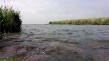 Nehrin ağzında geçen 4K 'lık zaman dilimi, önplanda ve arkaplanda küçük dalgalar, sazlıklar ve kayalar ile alçak açılı bir göl görüntüsüyle bulutların geçtiği. Hollanda Kuş Sığınma Doğa Koruma Alanı