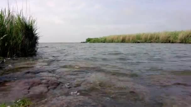 川の口で4Kのタイムラプスは 雲が通過して 前景と背景に小さな波 葦や岩と湖の低い角度のビューで オランダの野鳥保護区 — ストック動画