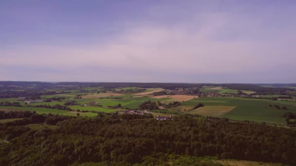 空中景観 田園地帯 ジャガイモ畑と穀物小麦畑 収穫と水平線の風力タービンを持つ農地の上 青と紫の空で オランダの南リンブルフ — ストック動画