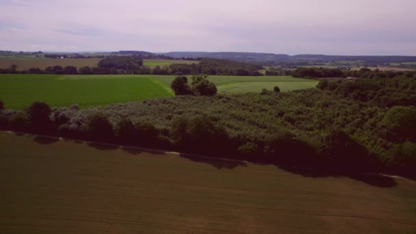空中風景南リンブルグオランダ 収穫のある農地 農村部の道路や森林の低ビュー 背景の青と紫の空 — ストック動画