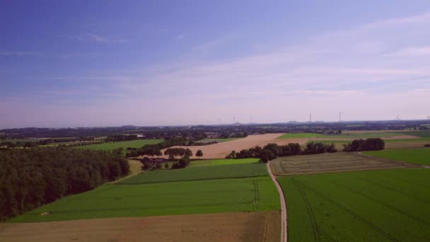 空中風景 ゆっくりと緑の作物 農村部の道路や森の上に下降 水平線の風力タービン 背景の青と紫の空 South Limburgオランダ — ストック動画