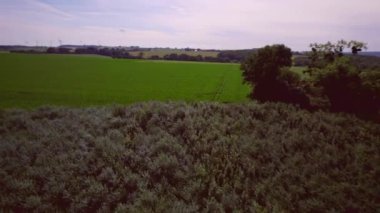 Hava manzarası: kırsal kesimlerde, patates, tahıl ve buğday tarlalarının üzerinde kırsal yollarla ve ormanlık bankalarla, hasat ve rüzgar türbinleriyle ufukta. Kuzey Ren-Vestfalya Almanya