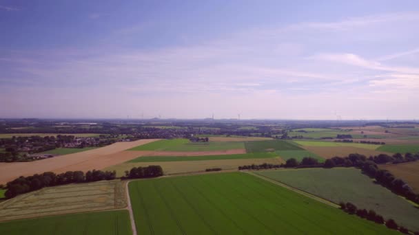 空中景观 在阳光充足的夏季 可以俯瞰种植蔬菜的农田和拖拉机跑道 德国北莱茵 威斯特法伦州的背风涡轮机 — 图库视频影像