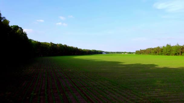 Secteur Agricole Arroseurs Irrigation Agroforesterie Vue Aérienne Paysage Drone Vole — Video