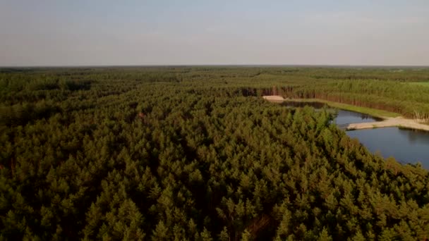 Lesní Letecký Pohled Krajina Dron Letí Nízko Nad Vrcholky Stromů — Stock video