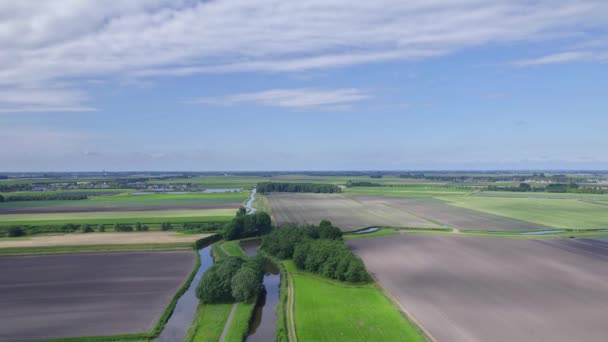 네덜란드 시골에 농지와 있습니다 앞뒤로 날면서 올라가고 카메라 가강을 넘어가며 — 비디오