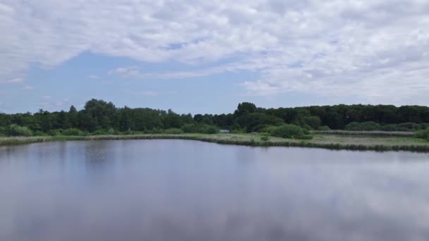 空中湖景 无人机在一个池塘上弯曲 池塘边的沼泽地上有芦苇和水生植物 用蓝天和白云俯瞰森林 云反映在水面上 — 图库视频影像